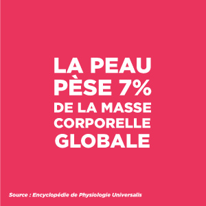 La peau pèse 7% de la masse corporelle globale