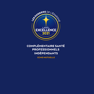 Professionnels indépendants